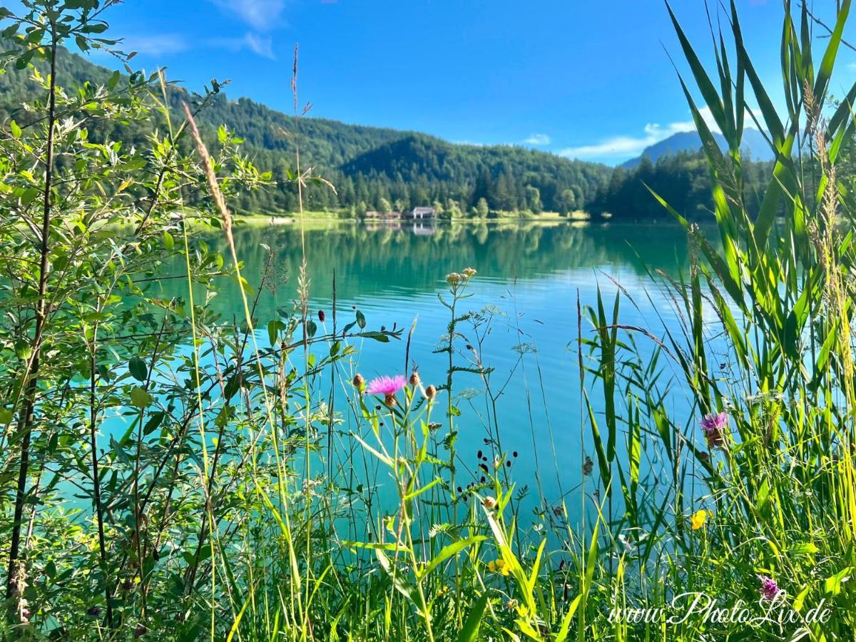 Sparfuchs - Fewo Resi Mittenwald Dış mekan fotoğraf